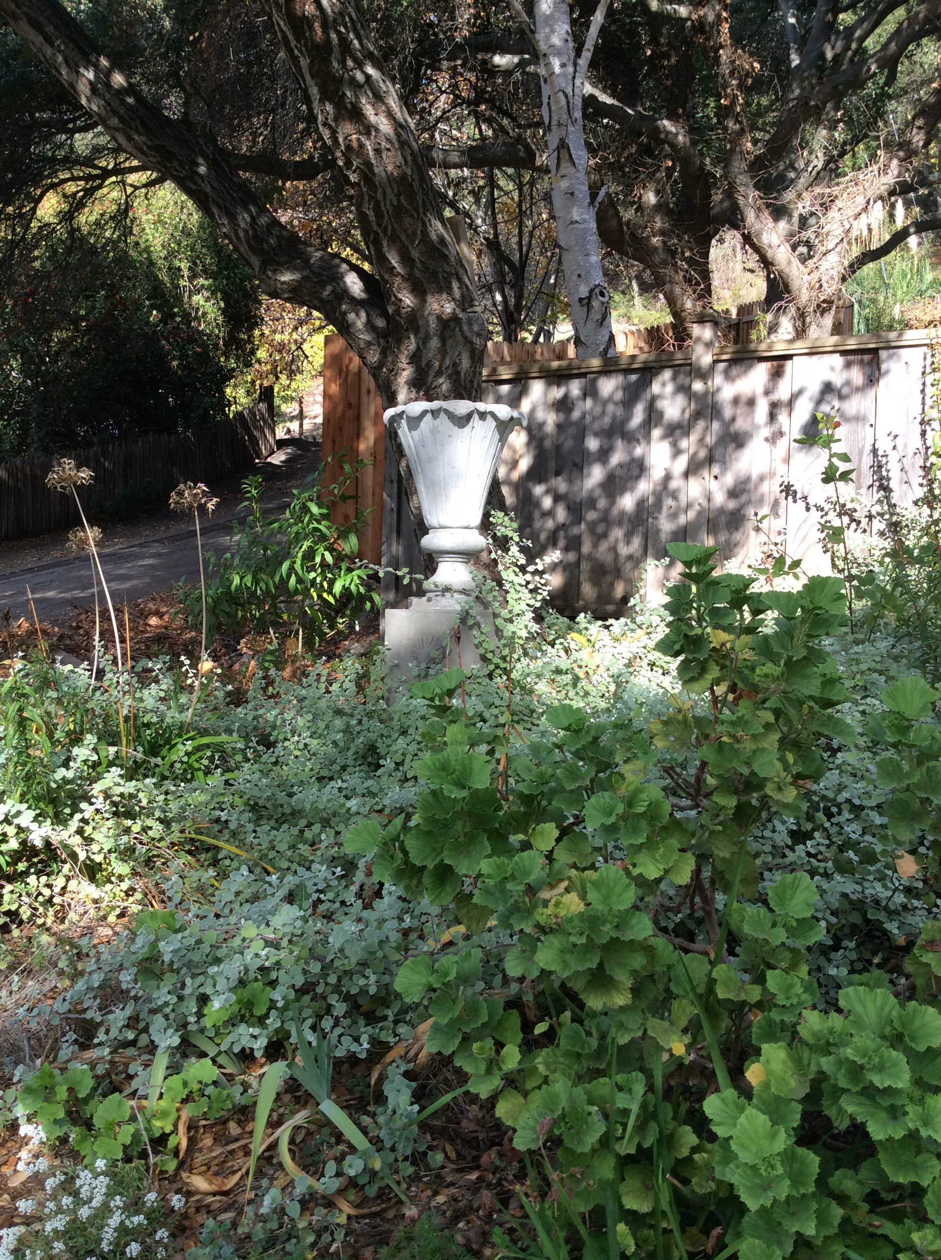 Urn